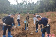 桂平广州已打造首批32处“绿美宗教活动场所”