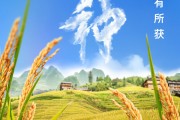 桂平芒种节气小知识来了 夏种作物都有什么？